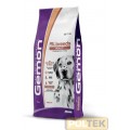 GEMON CANE ALL BREEDS ADULT SALMONE E RISO kg 15