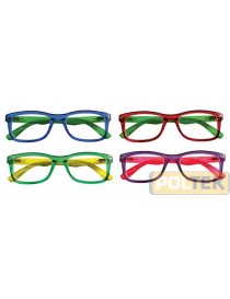 CHARRO OCCHIALE DA LETTURA NEBRASKA +1.00