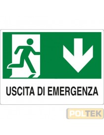 CARTELLO ALL. "USCITA DI EMERGENZA" cm 20x30