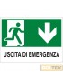 CARTELLO ALL. "USCITA DI EMERGENZA" cm 20x30