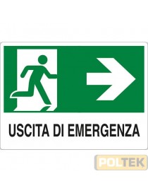 CARTELLO ALL. "USCITA DI EMERGENZA" cm 20x30 DX