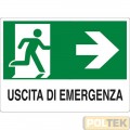 CARTELLO ALL. "USCITA DI EMERGENZA" cm 20x30 DX