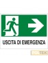 CARTELLO ALL. "USCITA DI EMERGENZA" cm 20x30 DX
