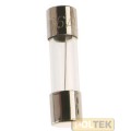FUSIBILE RAPIDO 2-2,5-3,15-4,6,3A (pz.15)