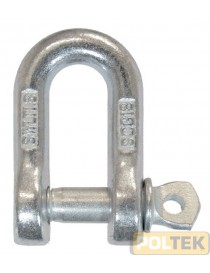 GRILLI ZINCATI d. 16 "CE"