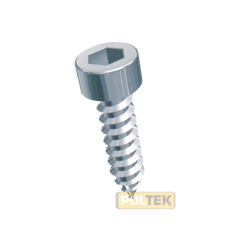 VITE AUTOFILETTANTE TC/CE 4,8x13