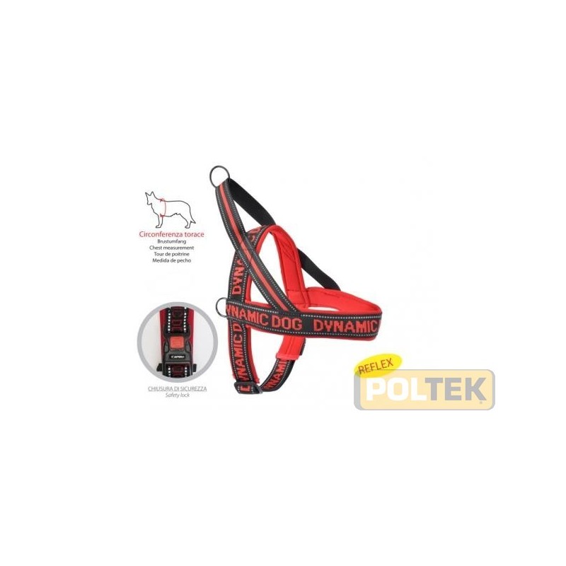 CAMON PETTORINA NEOPRENE Dynamic ROSSA Torace cm. 60