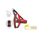 CAMON PETTORINA NEOPRENE Dynamic ROSSA Torace cm. 90