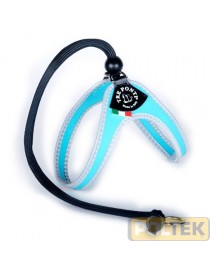 TRE PONTI PETTORINA CH. C/LACCIO B.DO RIFR. AZZURRO MIS 1