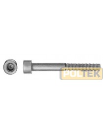 VITI ZINC TCE INCASSATO UNI5931 DIN912 8.8 4x20