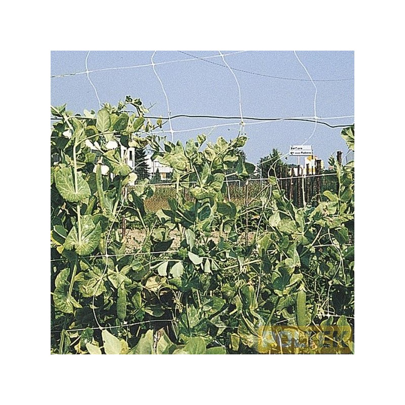 Rete per rampicanti realizzata in polipropilene, stabilizzata raggi UV. Adatta per la coltivazione verticale di ortaggi. Maglia 