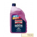 AREXONS LIQUIDO ANTIGELO SPECIAL DIESEL -35° lt 2