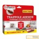 PROTEMAX ESCA PER SCARAFAGGI TRAPPOLA ADESIVA (2pz)