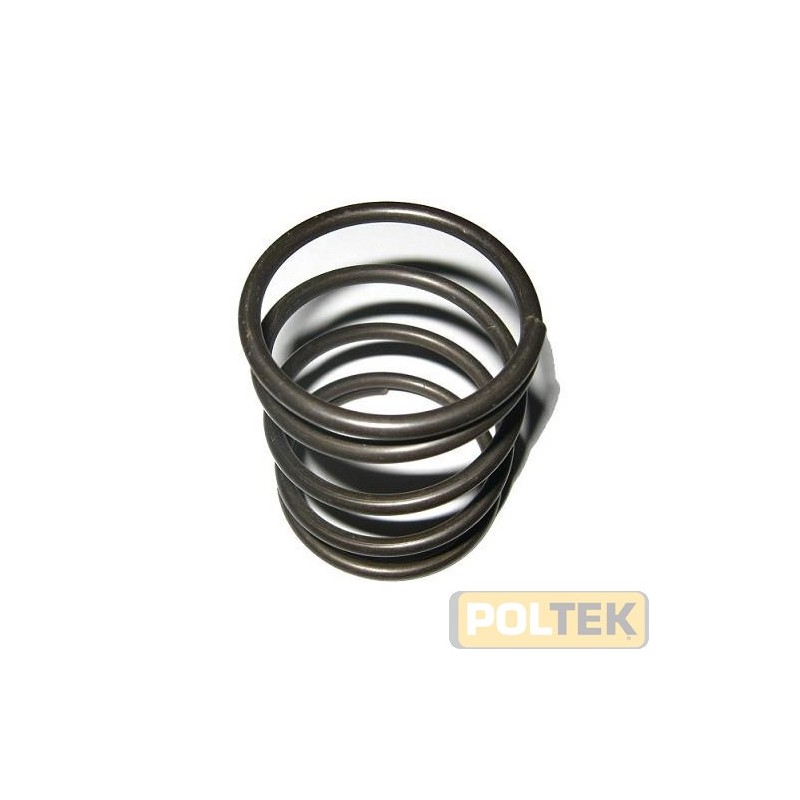 MOLLA RICAMBIO TESTINA ALACUT