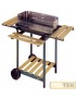 BARBECUE cm 60x36 h. cm 96 + PIANI LAVORO