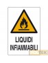 CARTELLO ALL. "LIQUIDI INFIAMMABILI" cm 20x30
