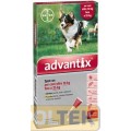 Advantix Spot on 4 pipette Cani da 10 kg a 25 kg