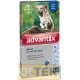 Advantix Spot on 4 pipette Cani da 25 kg a 40 kg