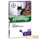 Advantage Spot on 80 Gatti oltre 4 kg