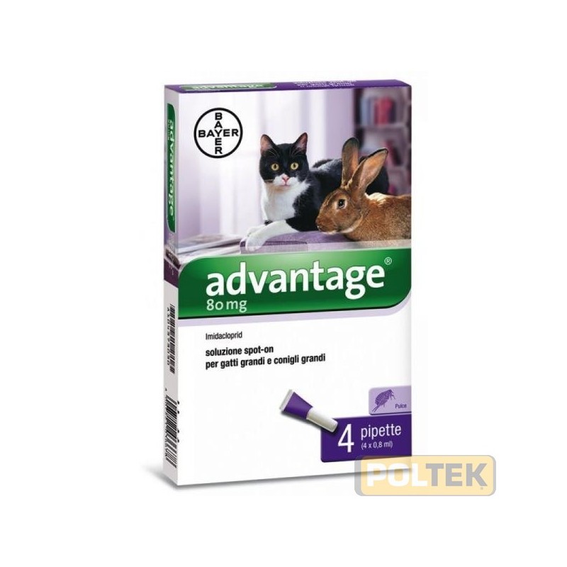 Advantage Spot on 80 Gatti oltre 4 kg