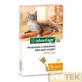 Advantage Spot on 40 Gatti fino 4 kg