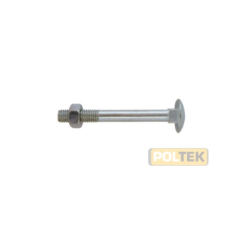 BULLONE T.T.D.E. ZINCATO 4.8 5x 20