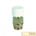 VALVOLINA DI SCARICO ARIA A SPILLO 1/4"