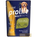 PROLIFE DOG WET BUSTA 300 GR RENNA/AGNELLO/PATATE