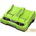 GREENWORKS 40V CARICABATTERIA G40UC2 DOPPIO SLOT