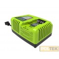 GREENWORKS 40V CARICABATTERIA G40UC4 VELOCE 4A