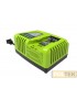 GREENWORKS 40V CARICABATTERIA G40UC4 VELOCE 4A