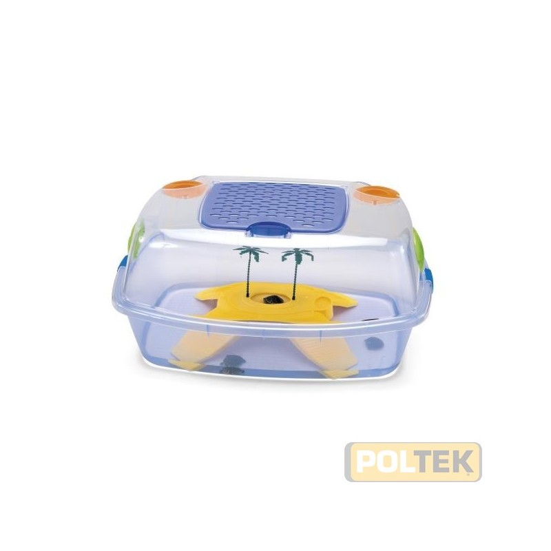 IMAC TARTARUGHIERA DAFNE BEACH AZZ. TRASPARENTE