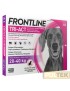 FRONTLINE TRI-ACT SPOT ON 20-40 kg L 3 pipette