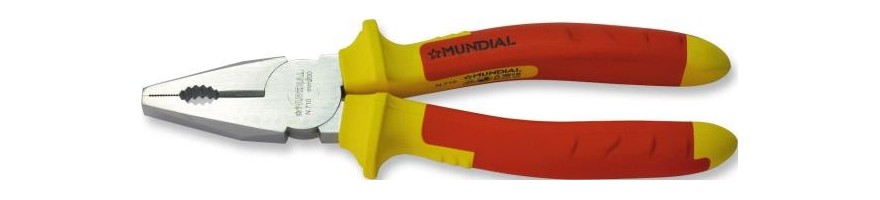 Pinza e tronchesi isolati