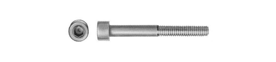 Testa cilindrica incassata